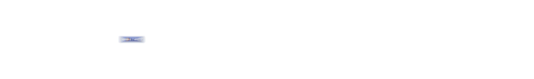 Promo Code